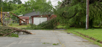 downed powerlines and fallen trees